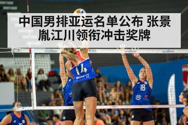volleyball spike action